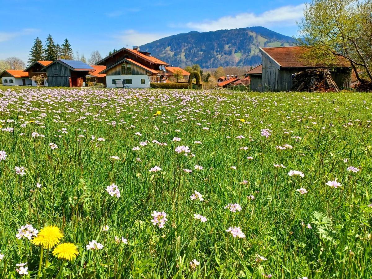 Ferienwohnung Geierstein Wackersberg 외부 사진