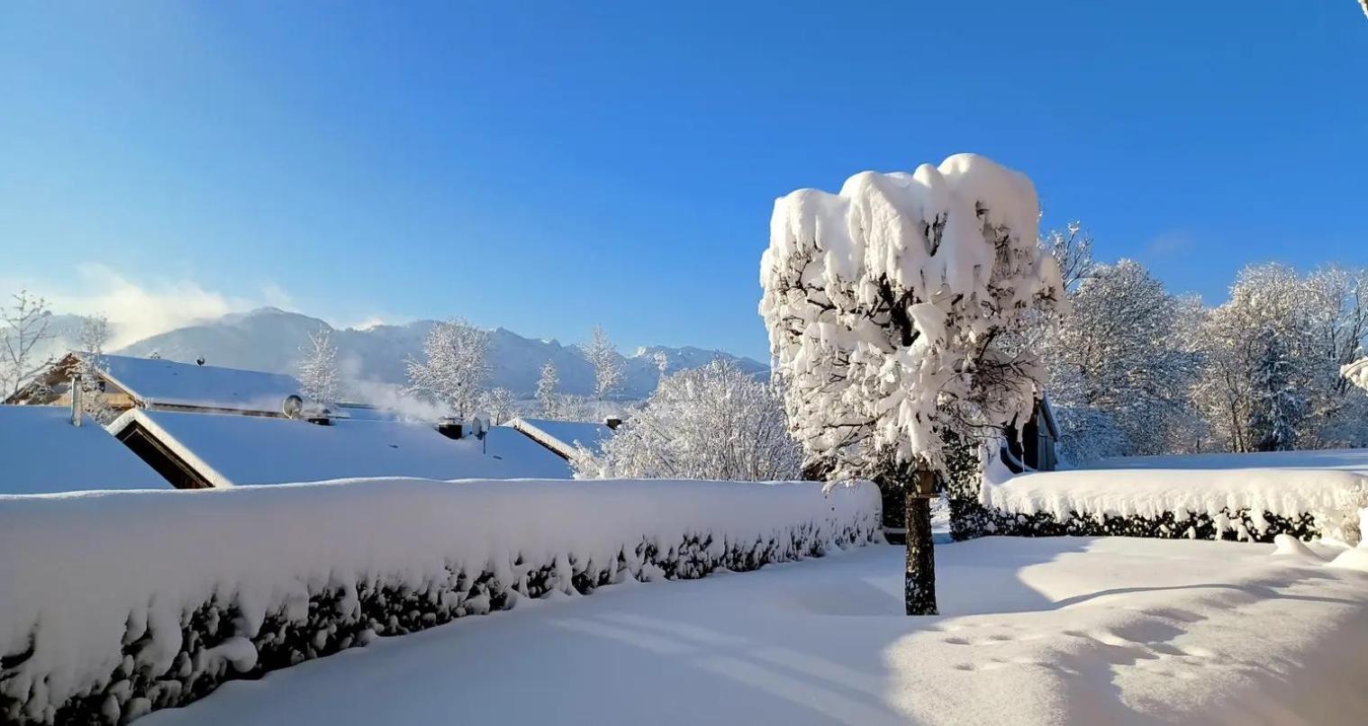 Ferienwohnung Geierstein Wackersberg 외부 사진